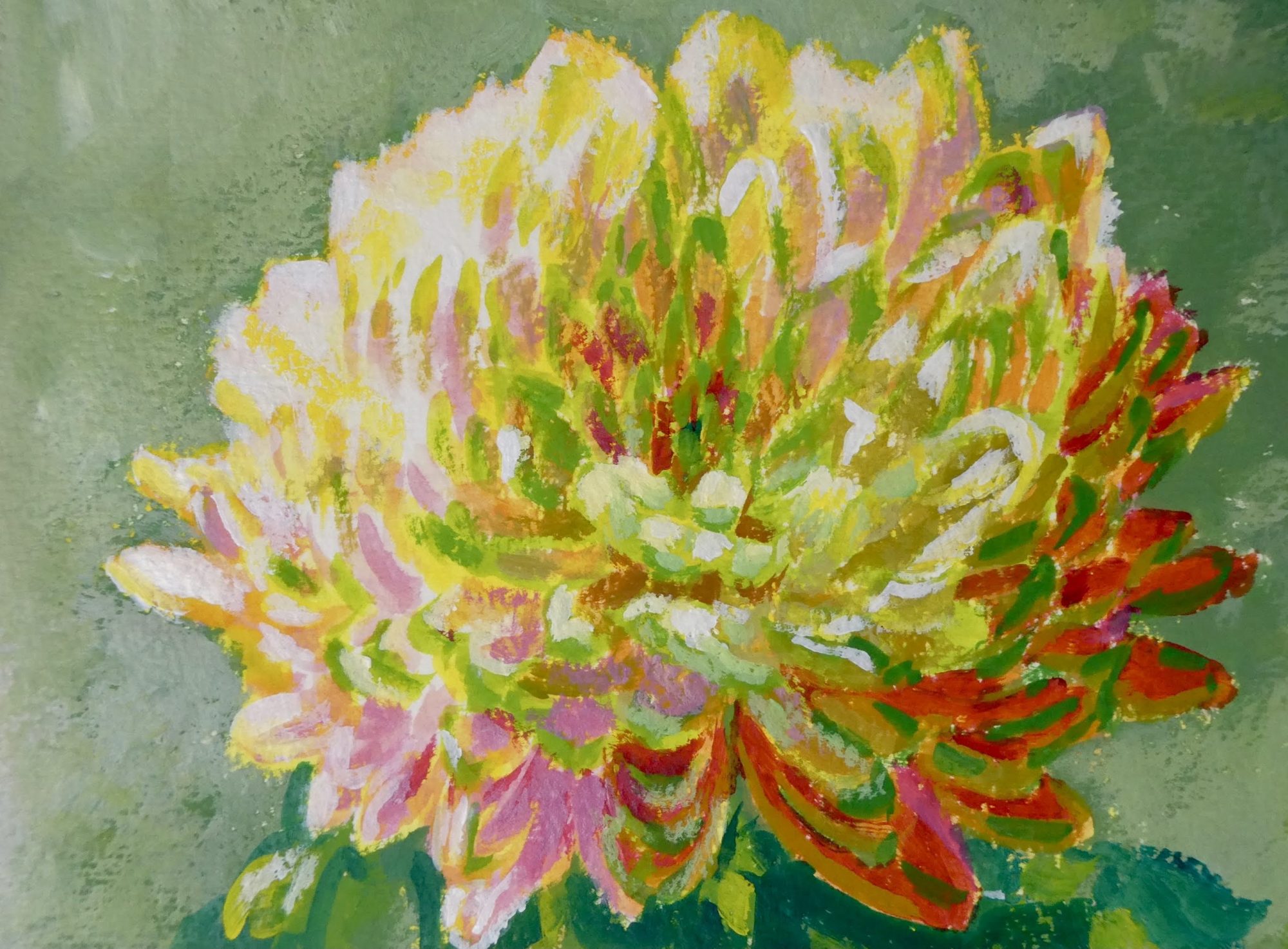誕生花 11月の誕生花は 花言葉は 月別の花と日別の花 花の絵と風景画 冬乃太陽 Tonotaiyo 誕生花 11月の誕生花は 花言葉は 月別の花と日別の花 花の絵と風景画 冬乃太陽 Tonotaiyo